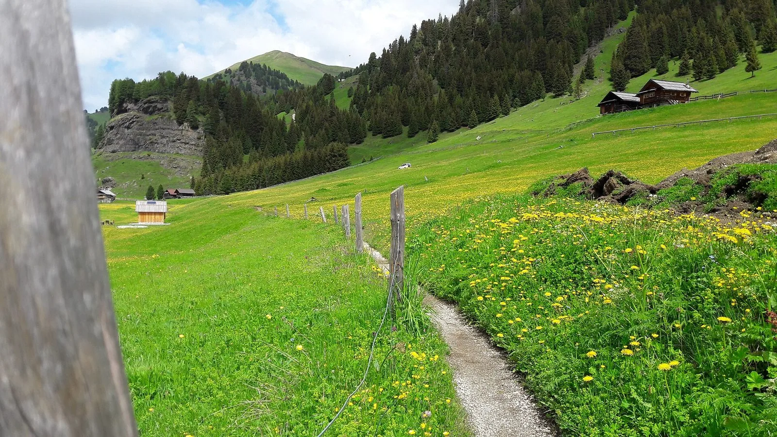 Stretto sentiero sterrato lungo una staccionata di legno tra prati verdi pieni di fiori gialli, baite di legno sul pendio e boschi di abeti in una valle alpina sotto un cielo con nuvole