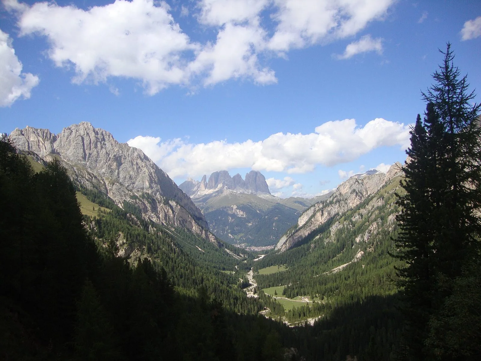 Valle alpina boscosa con abeti in primo piano, pareti rocciose ai lati e il profilo frastagliato del Sassolungo sullo sfondo sotto un cielo azzurro con nuvole bianche